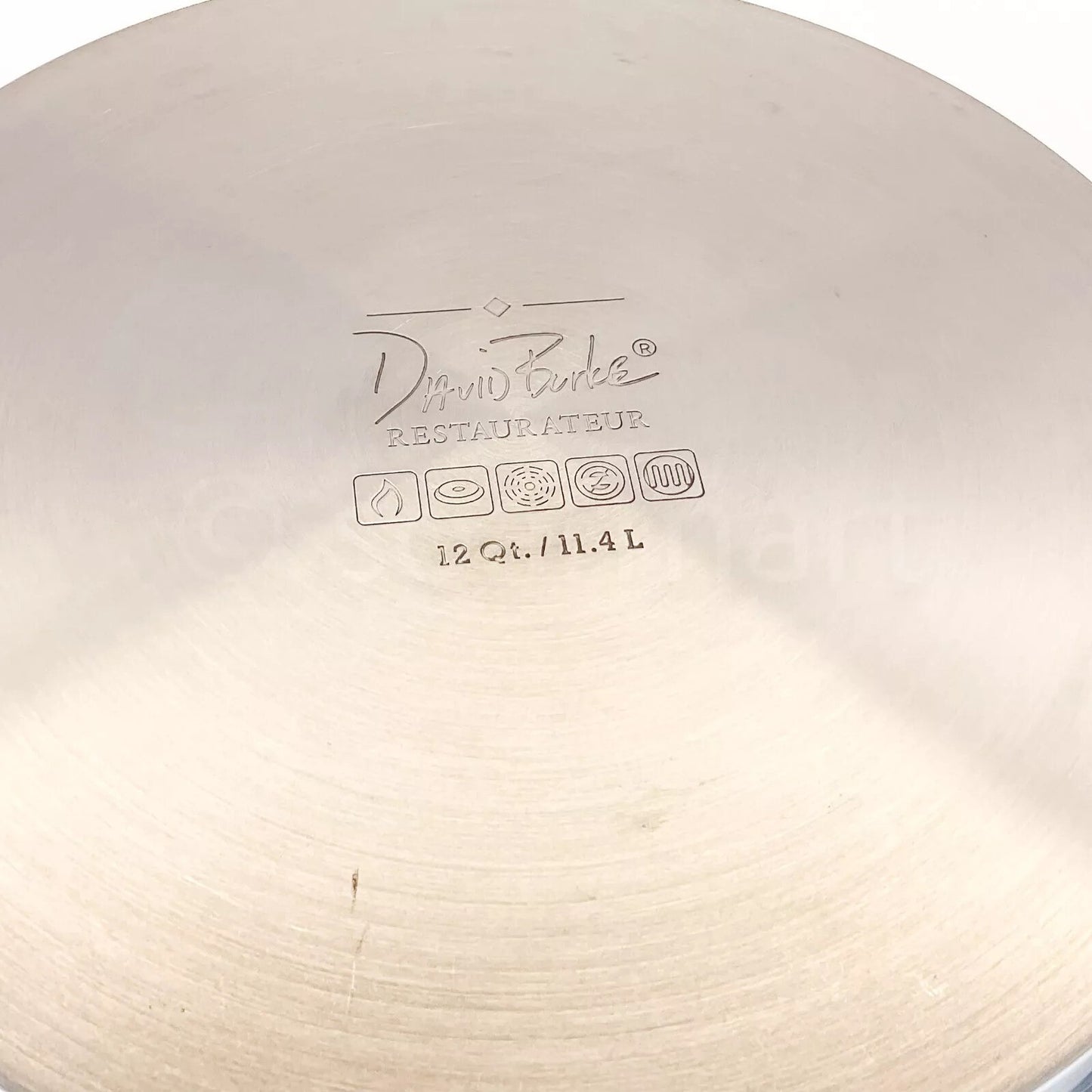 David Burke Elements Heavy Gauge Stainless Steel 12-QT Stockpot New
