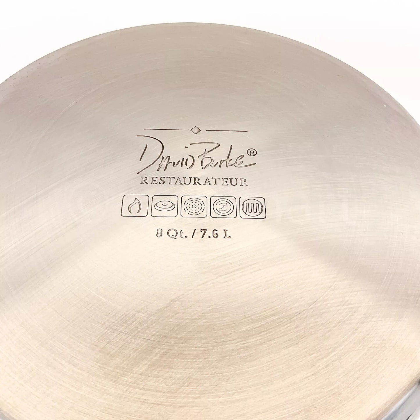 David Burke Elements Heavy Gauge Stainless Steel 8-QT Stockpot New